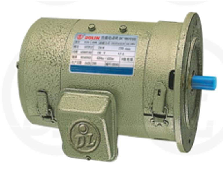 Electric DC Motor vertical