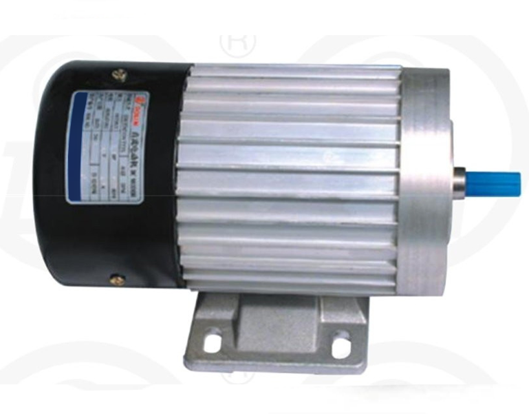 Electric DC Motor magnet vertical