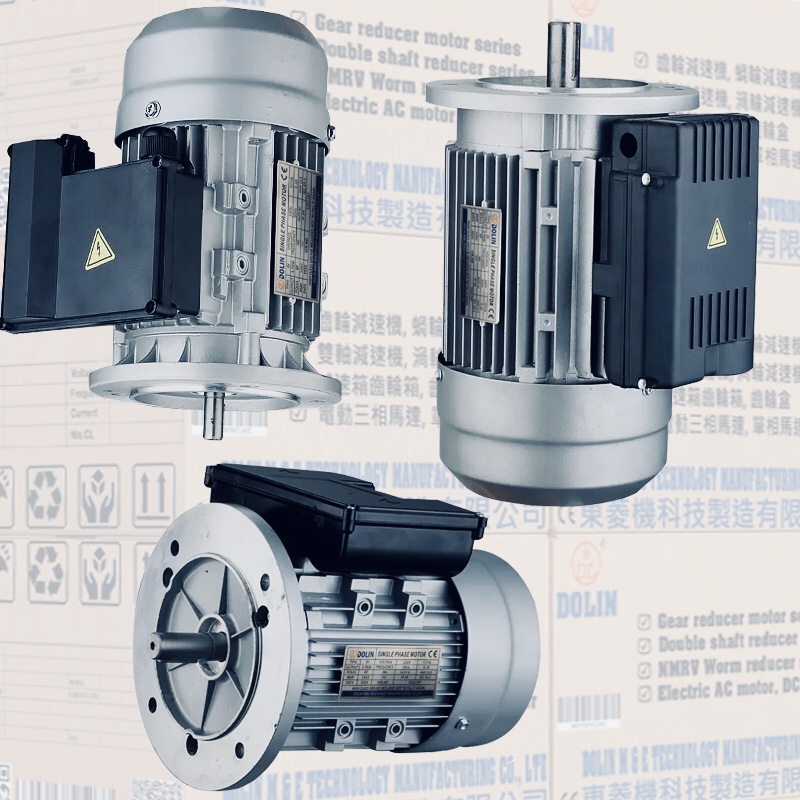 SINGLE-PHASE INDUCTION MOTORS (Electric Motor)