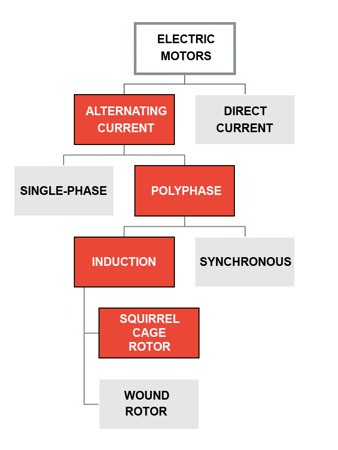 electric motors